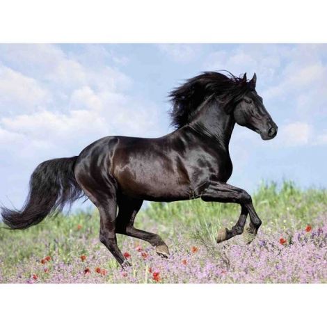 Puzzle Cal 200 Piese Ravensburger - Relaxare