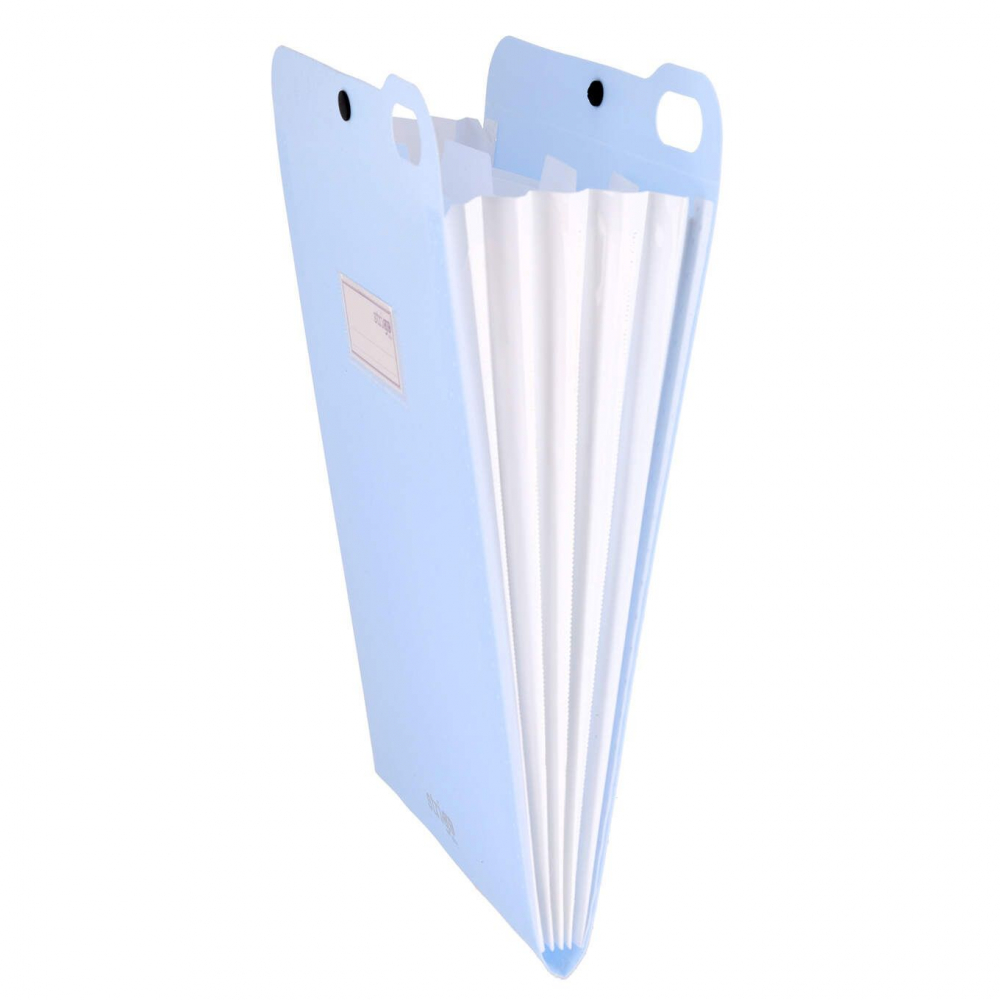 Organizator Strigo A4 cu Capsa, Organizare Eficientă