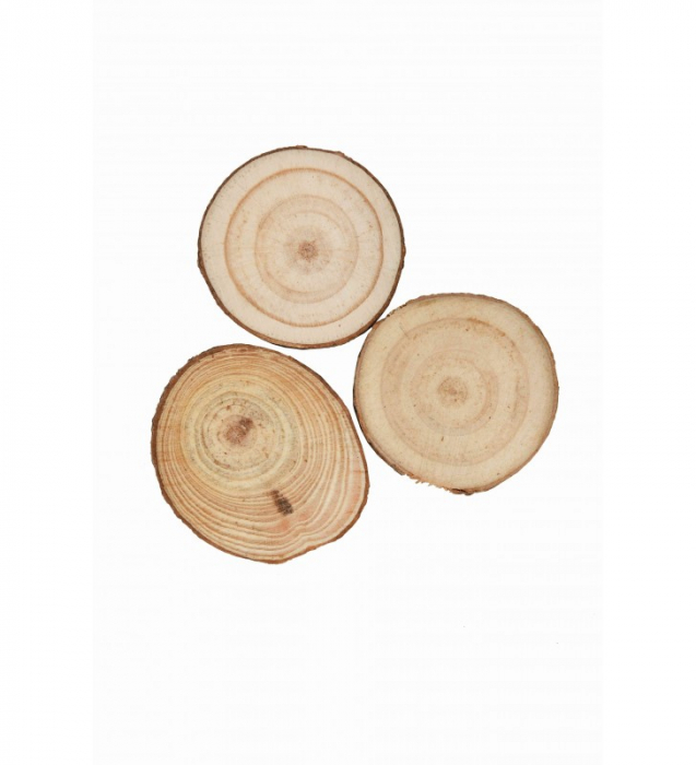 Rondele Lemn Colorart 3.5cm, Set 3 Bucăți