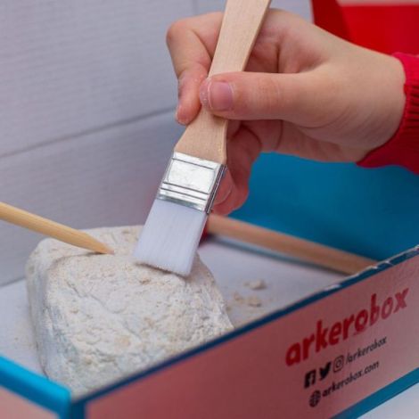 Arkerobox Set Arheologic Efes Biblioteca Celsus - imagine 3