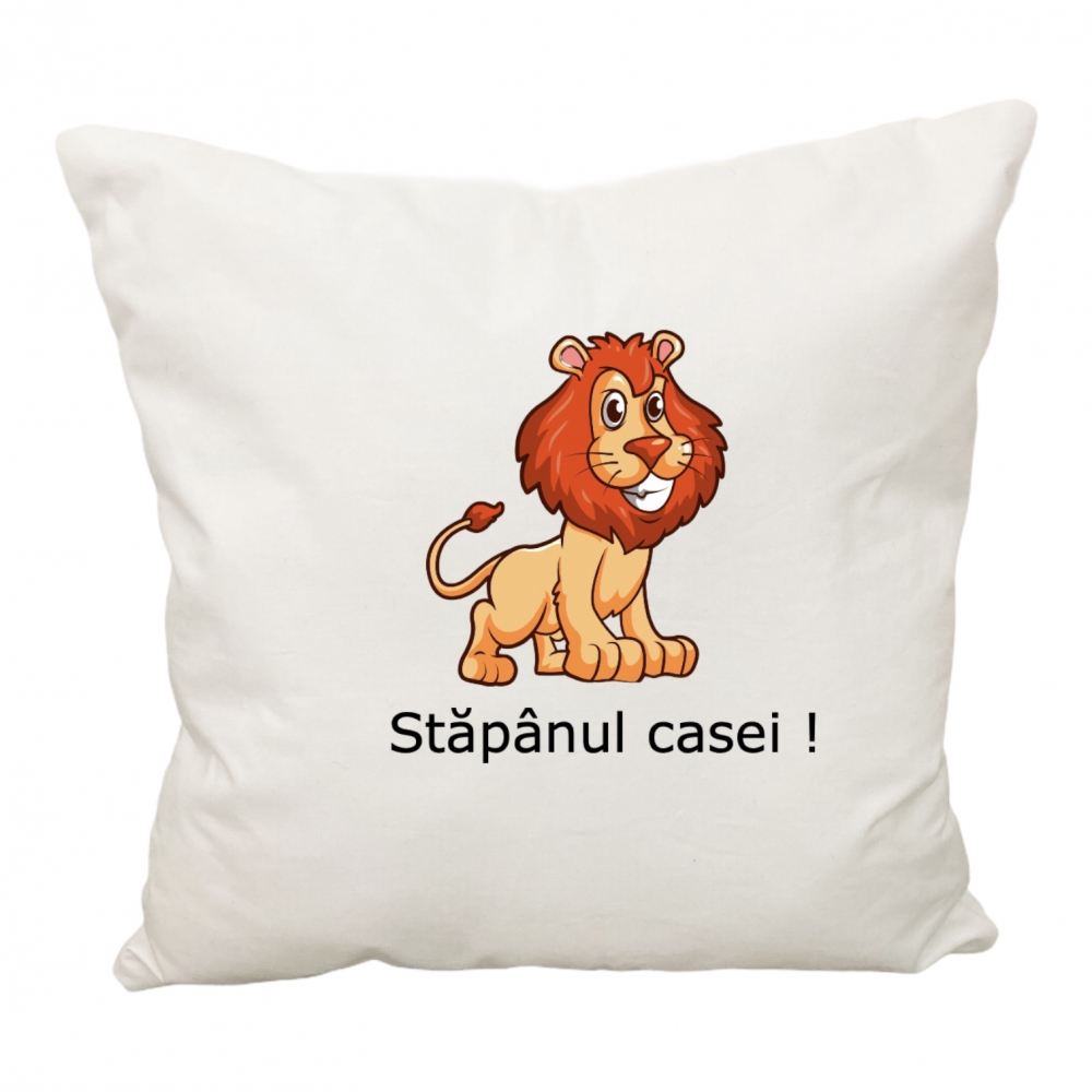 Perna Personalizată Copil Deseda 40x40cm - imagine 8