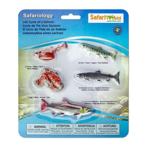 Set Ciclul Vieții la Somon Safari Ltd.