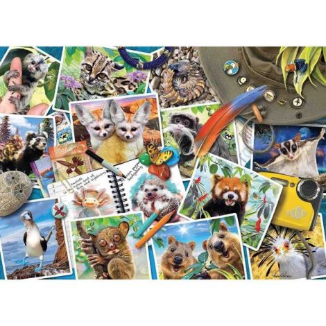 Puzzle 1000 Piese Ravensburger Jurnal Călătorie
