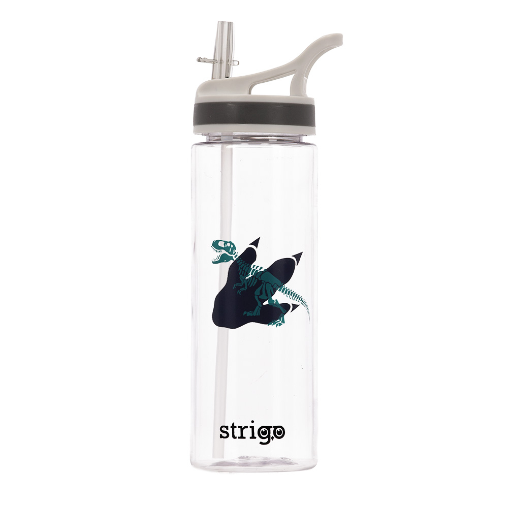 Bidon Strigo Dinosaur, 600 ml