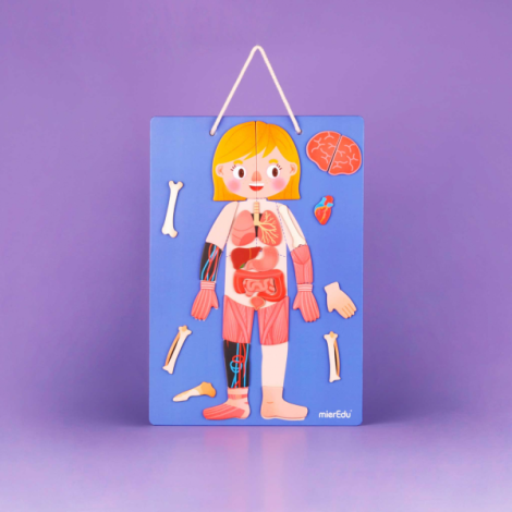 Joc Mieredu Corp și Emotii - Educație Interactivă - imagine 6