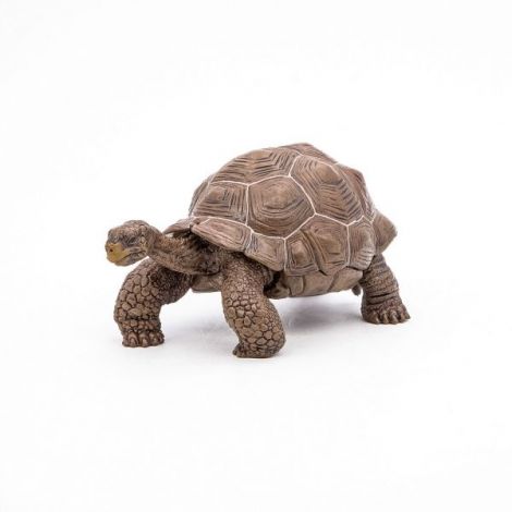 Papo Testoasa Galapagos - Figurina Detaliata - imagine 7