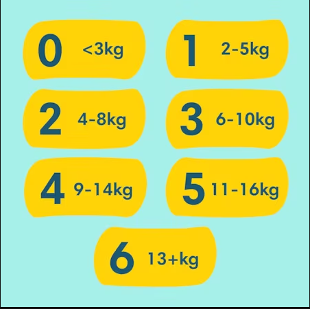 Pampers Premium Care Mega Box 88 buc | Piele catifelată - imagine 7