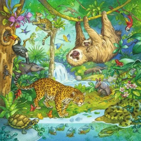 Puzzle Aventuri Jungla Ravensburger 3x49 piese - imagine 3