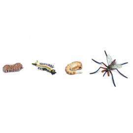 Ciclul Vieții la Țânțar Safari Ltd | Set Educativ