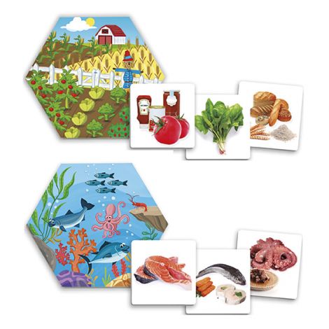 Joc Akros De unde provin alimentele? - imagine 4