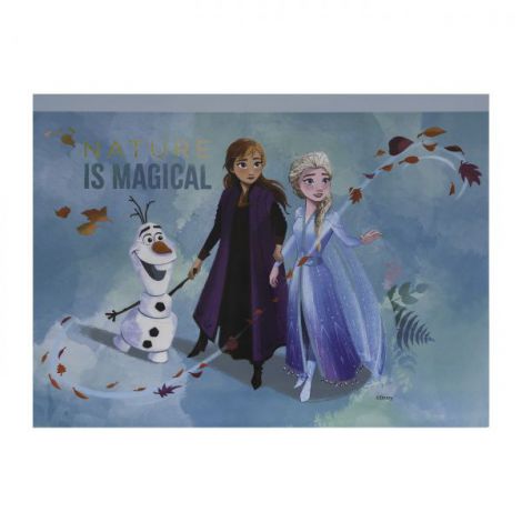 Set Desen Frozen Artgreco Gentuta Creatie - imagine 3