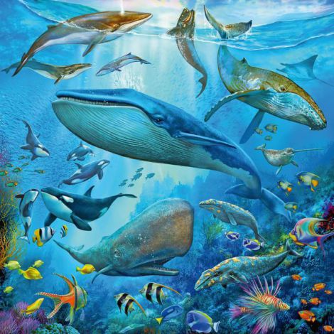 Puzzle Lumea Subacvatica, 3x49 piese, Ravensburger - imagine 4