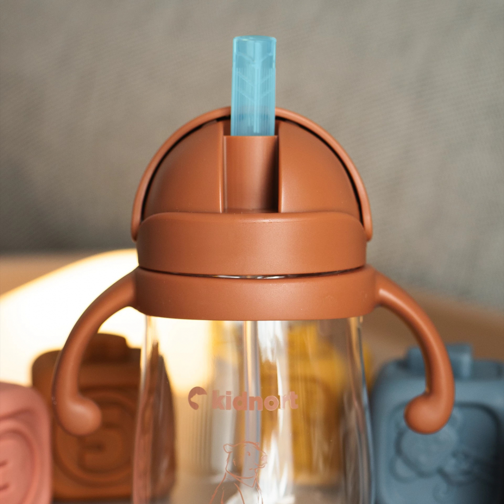 Sticluta Tritan Kidnort cu Pai si Biluta, 240ml - imagine 2