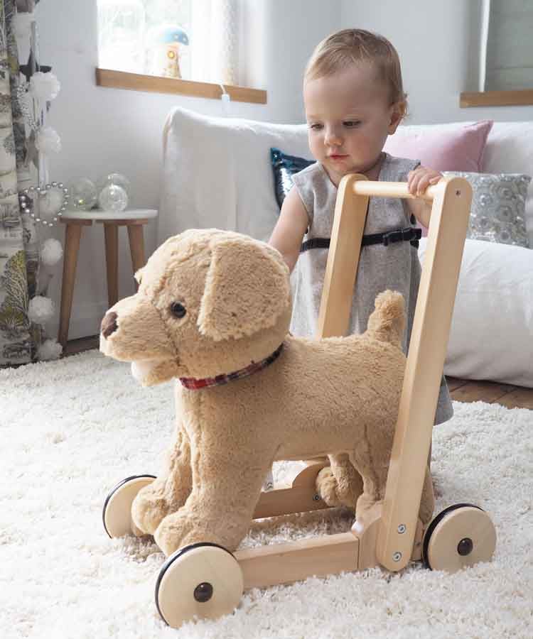 Jucărie Ride-On Caine Labrador Little Bird