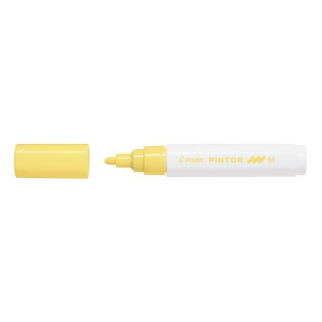 Marker Vopsea Pilot Pintor M 1.4 mm Diverse Culori