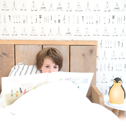 Antrenor Somn Pam roz Zazu kids | Somn Liniștit