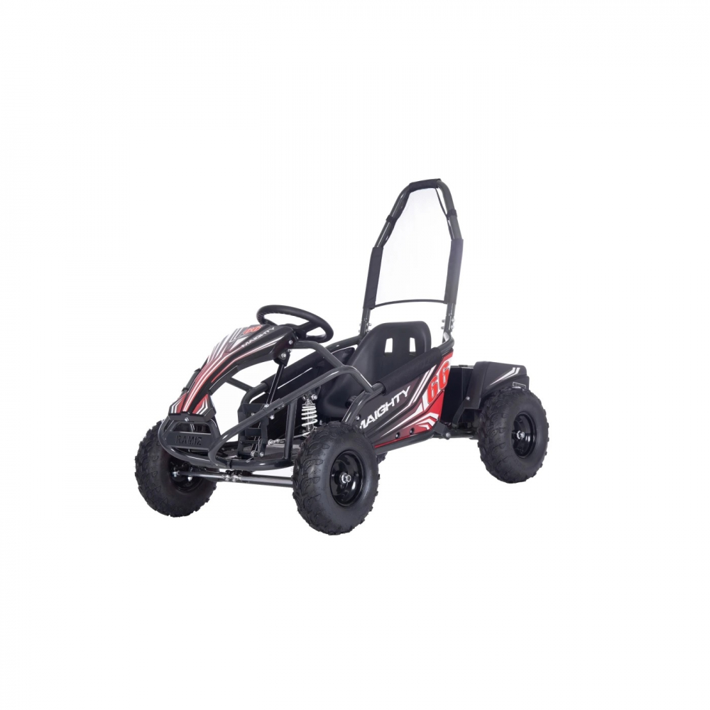 Ramiz Kart Electric 1000W - Adrenalină și Siguranță