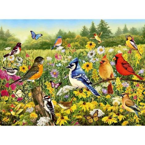 Puzzle 500 Piese Pasărele Colorate Ravensburger