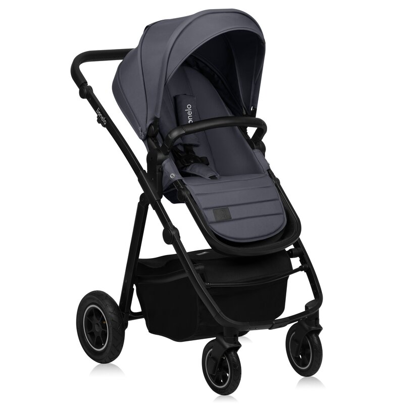 Carucior 2 in 1 Premium Lionelo Amber Plus