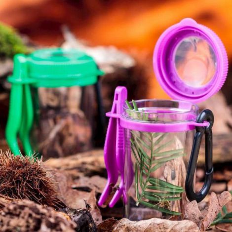 Tobar Observator Insecte cu Penseta - imagine 3