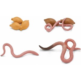 Ciclul Vieții la Râmă Safari Ltd - Set Educativ