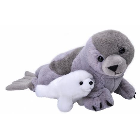 Mama și Puiul Foca | Plus Wild Republic