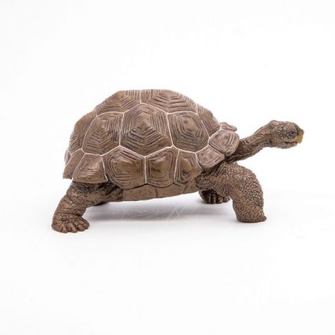 Papo Testoasa Galapagos - Figurina Detaliata - imagine 3