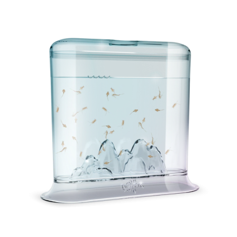 Set Aqua Dragons | Creează un Habitat Acvatic Viu - imagine 3