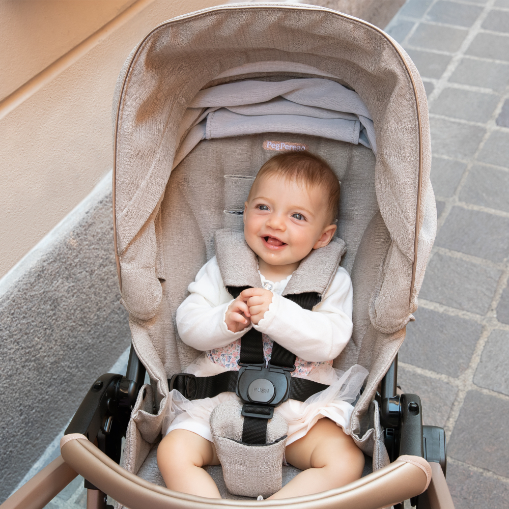 Carucior 2 in 1 Peg Perego Book Mon Amour Eleganta - imagine 5
