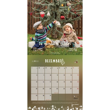 Calendar Acorns 2014 - Ghindește-te la educația copilului - imagine 5