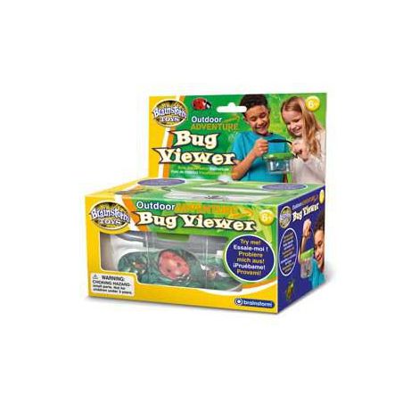 Observator Insecte Brainstorm | Mic Naturalist