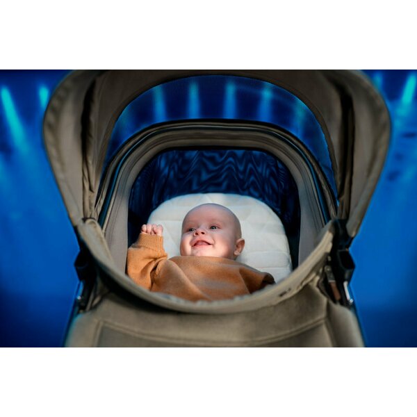 Maxi-Cosi Fame 2in1 Carucior Premium Twillic