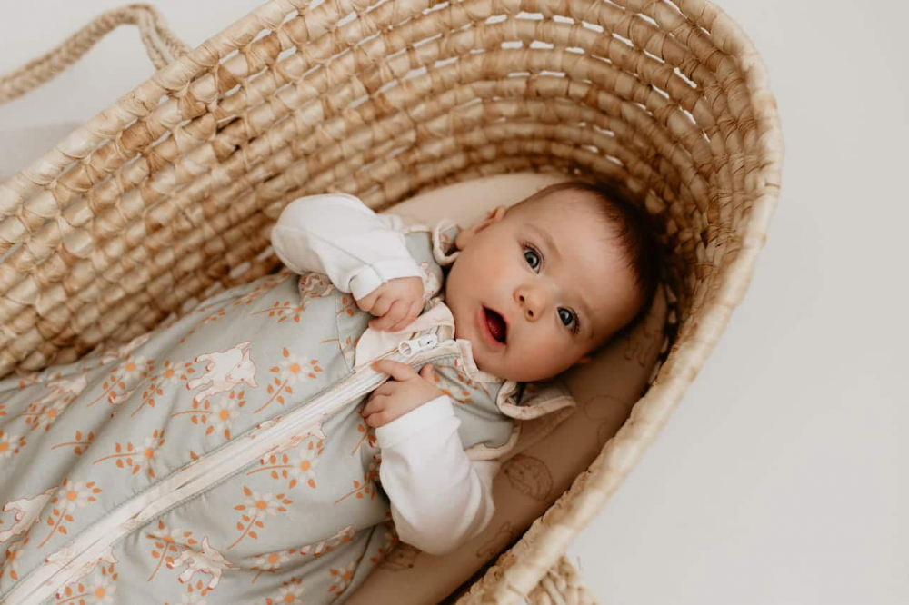 Sac dormit Nor Pufos Newborn, 2.5 TOG
