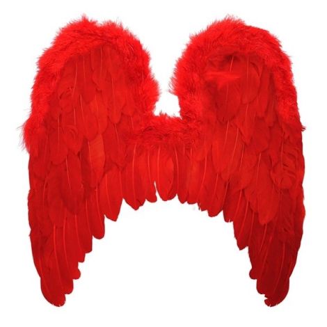 Aripi Pene Roșii Widmann | Costum Carnaval