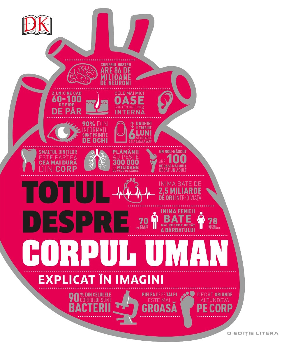 Totul despre corpul uman - Litera | Enciclopedie copii
