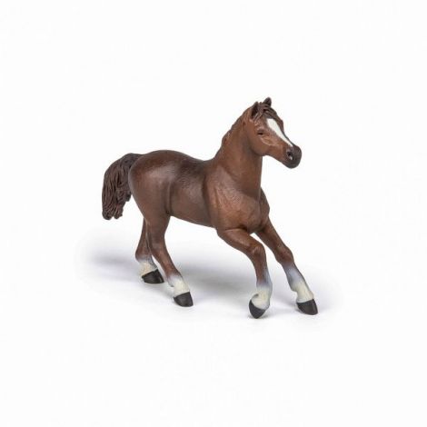 Figurina Papo Iapa Anglo-Araba | Jucarie Educativa - imagine 5