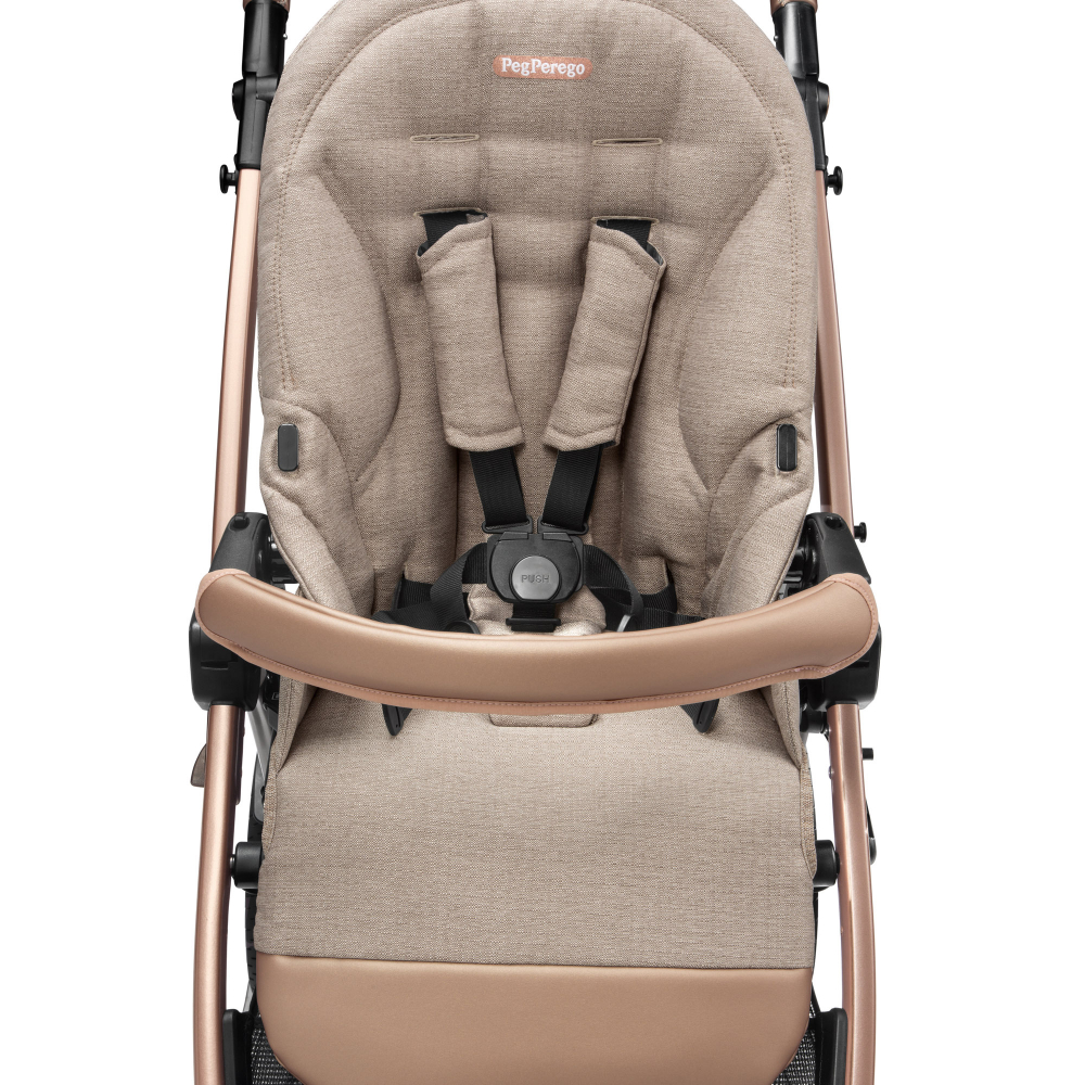 Carucior 2 in 1 Peg Perego Book Mon Amour Eleganta - imagine 4