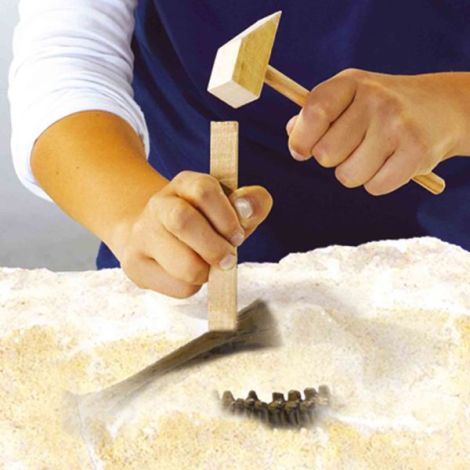 Set Sapaturi Stegozaur Ses Creative | Joc Educativ - imagine 3