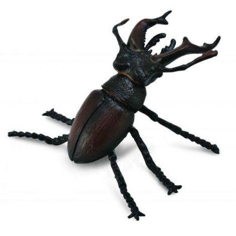 Figurina Râdașcă Mascul M Collecta