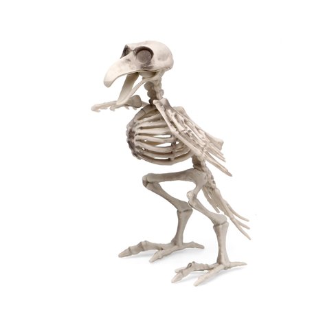 Cioară Schelet Halloween 19cm Atosa