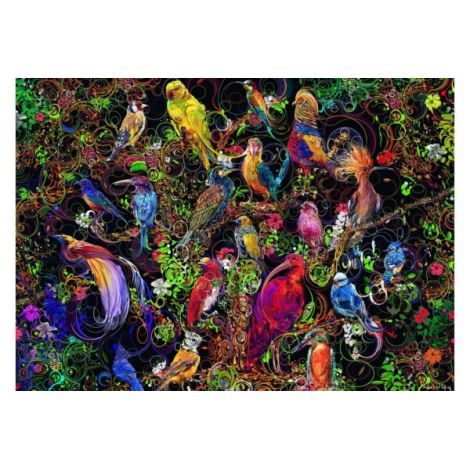 Puzzle Arta Pasarilor Ravensburger 1000 piese