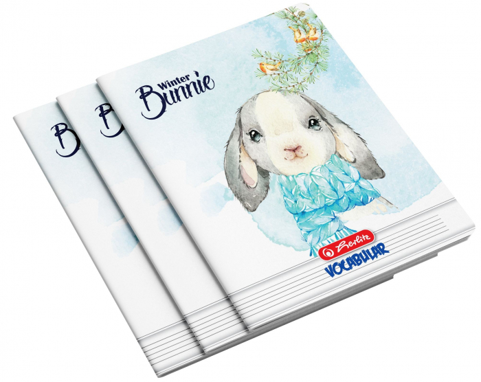 Vocabular Herlitz A6, 24 file, modele variate