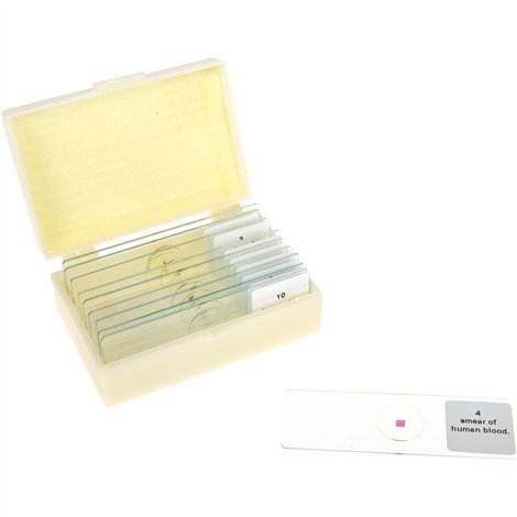 Set lame microscopice Moje bambino | Natura
