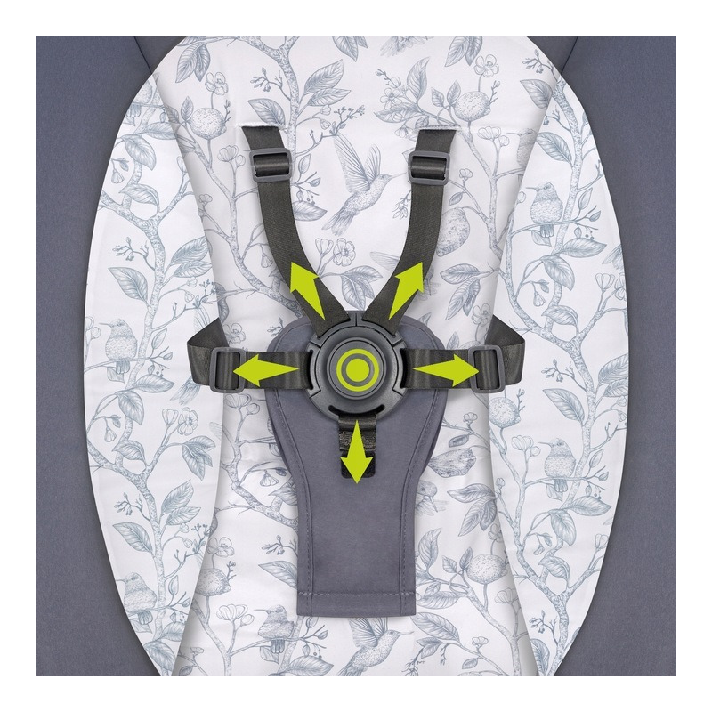 Balansoar Lionelo Ralf 2 in 1 Electric Gri Grafit - imagine 3