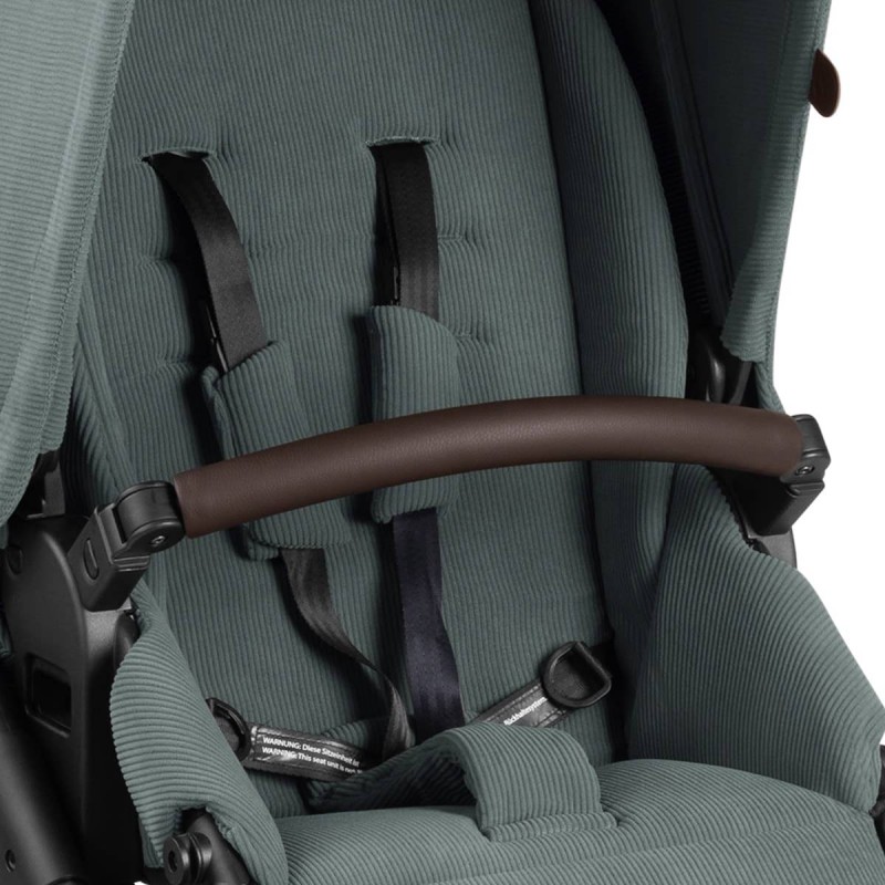ABC Design Salsa 4 Air Aloe - Carucior 2 in 1 Compact - imagine 2