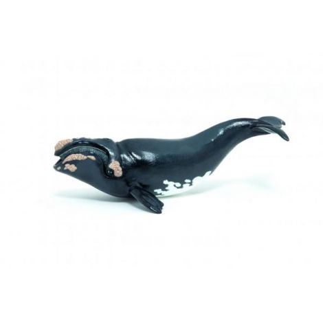 Papo Figurina Balena - Jucarie Educativa