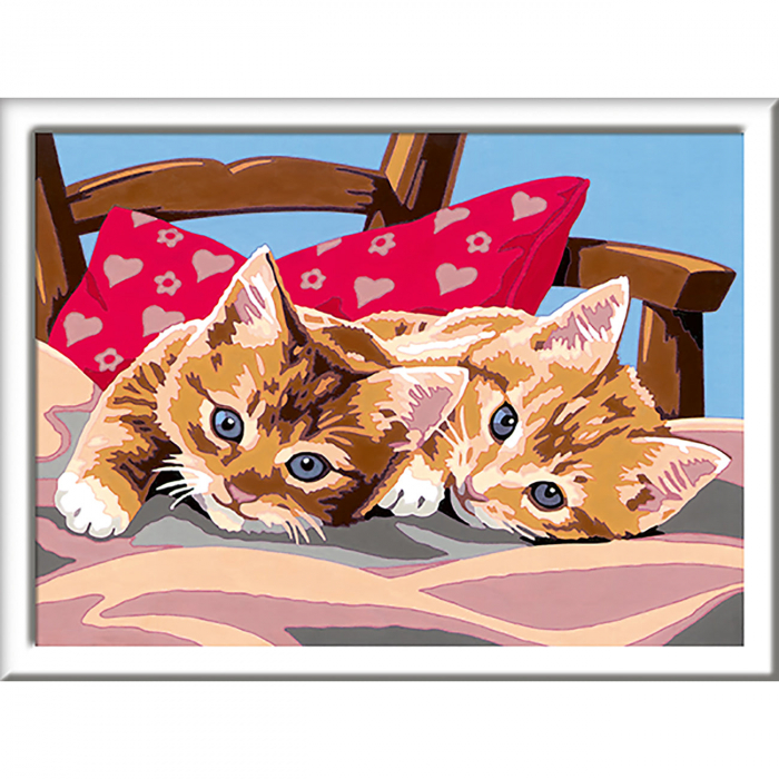 Pictura Pe Numere Pisicute Ravensburger Relaxare Creativa