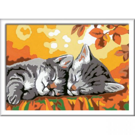 Pictură pe Numere Pisicute Somnoroase Ravensburger - imagine 2