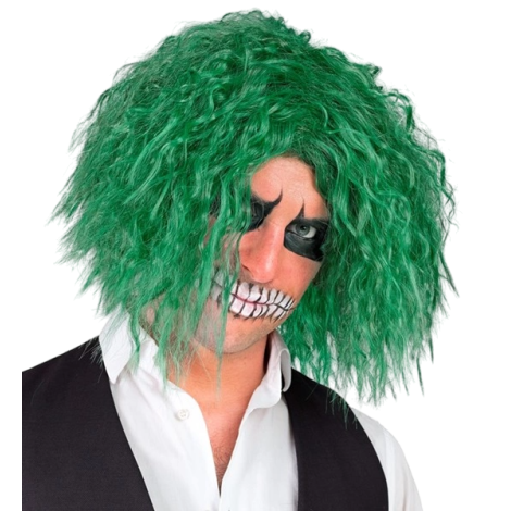 Peruca Joker Verde Widmann | Costum Carnaval