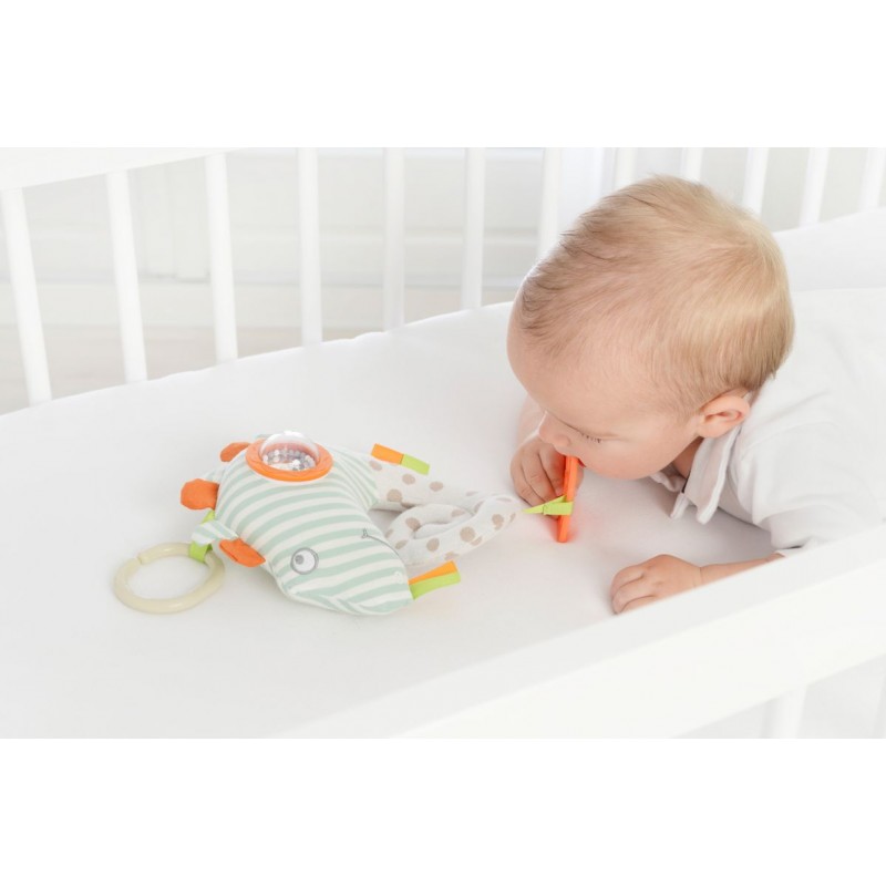Cameleon Interactiv Dolce cu Activități